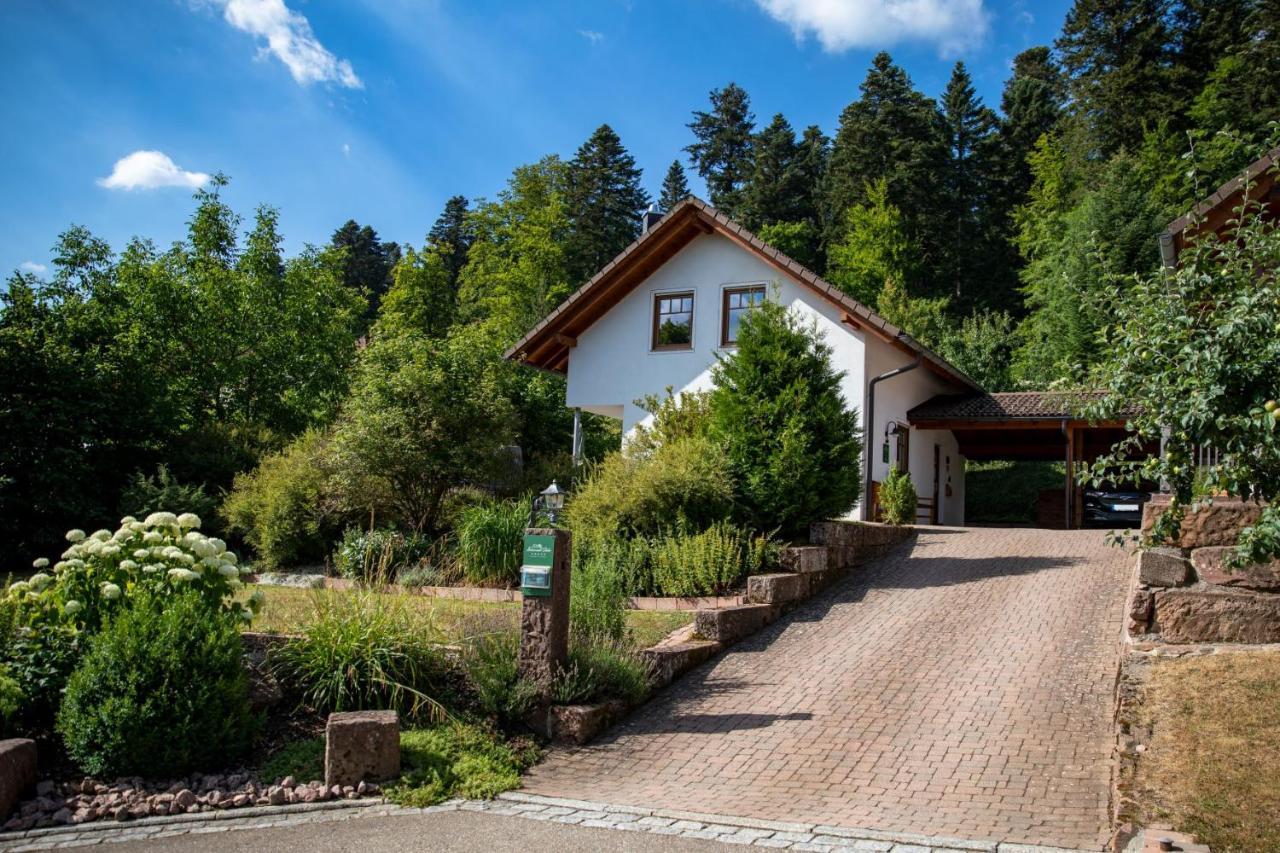 Schwarzwald Chalets Freudenstadt Exterior photo